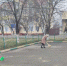 Сегодняшний субботник получился по-настоящему массовым - Администрация МО г. Карабулак