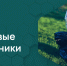 Презентация цифрового субботника “Уберу” - Администрация МО г. Карабулак