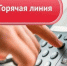 Телефон горячей линии 8(8734) 44-41-56  для обращения граждан по вопросам отказа работодателей заключать трудовые договоры, использования «серых» схем выплаты зарплаты и выплат ниже установленного минимального размера оплаты труда. - Администрация МО г. Карабулак